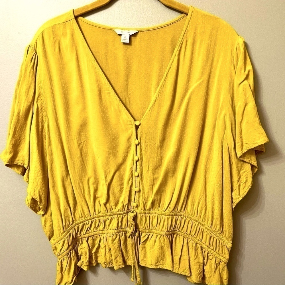 Swiss dot flutter sleeve elastic waist peplum v-neck crop top gold fairy size XL